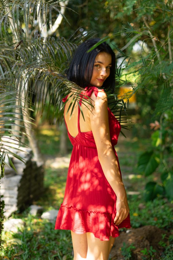 Short Ruffle Dress